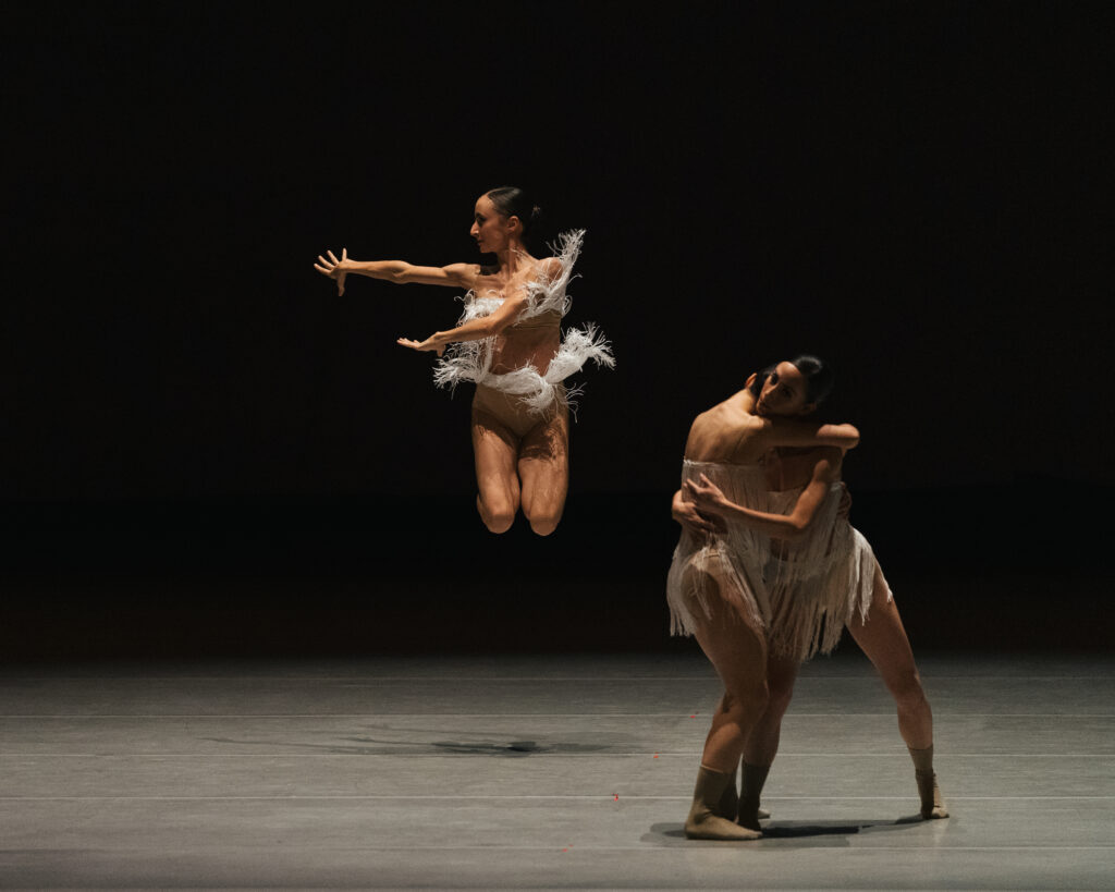 Tercer Movimiento del Concierto para violín de Tchaikovsky (2023) © Brenda Jauregui y Paulo García