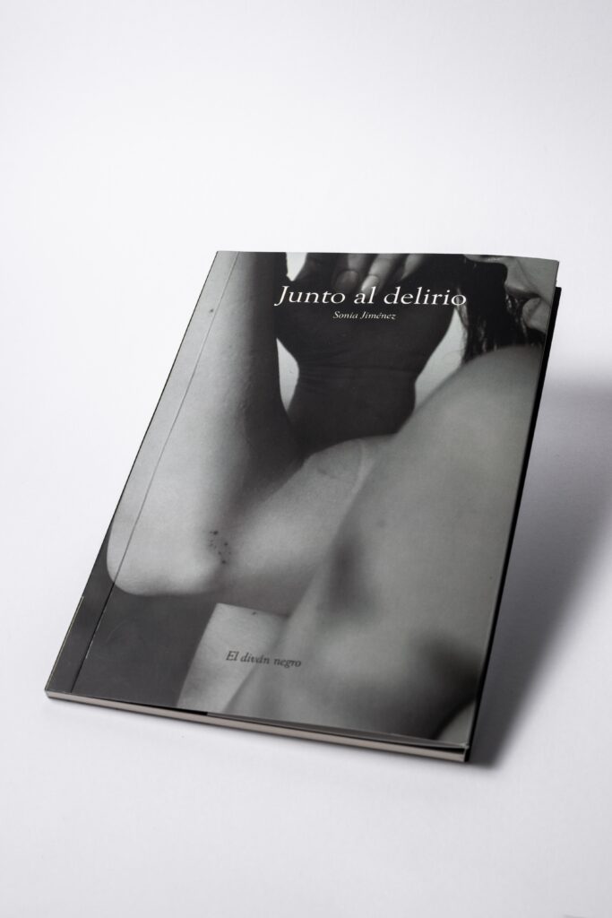 Portada Junto al delirio